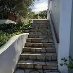 Regina فيسكاردو