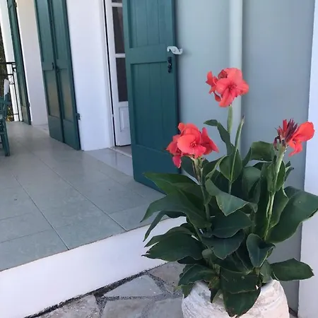 Regina Βίλα Φισκάρδο